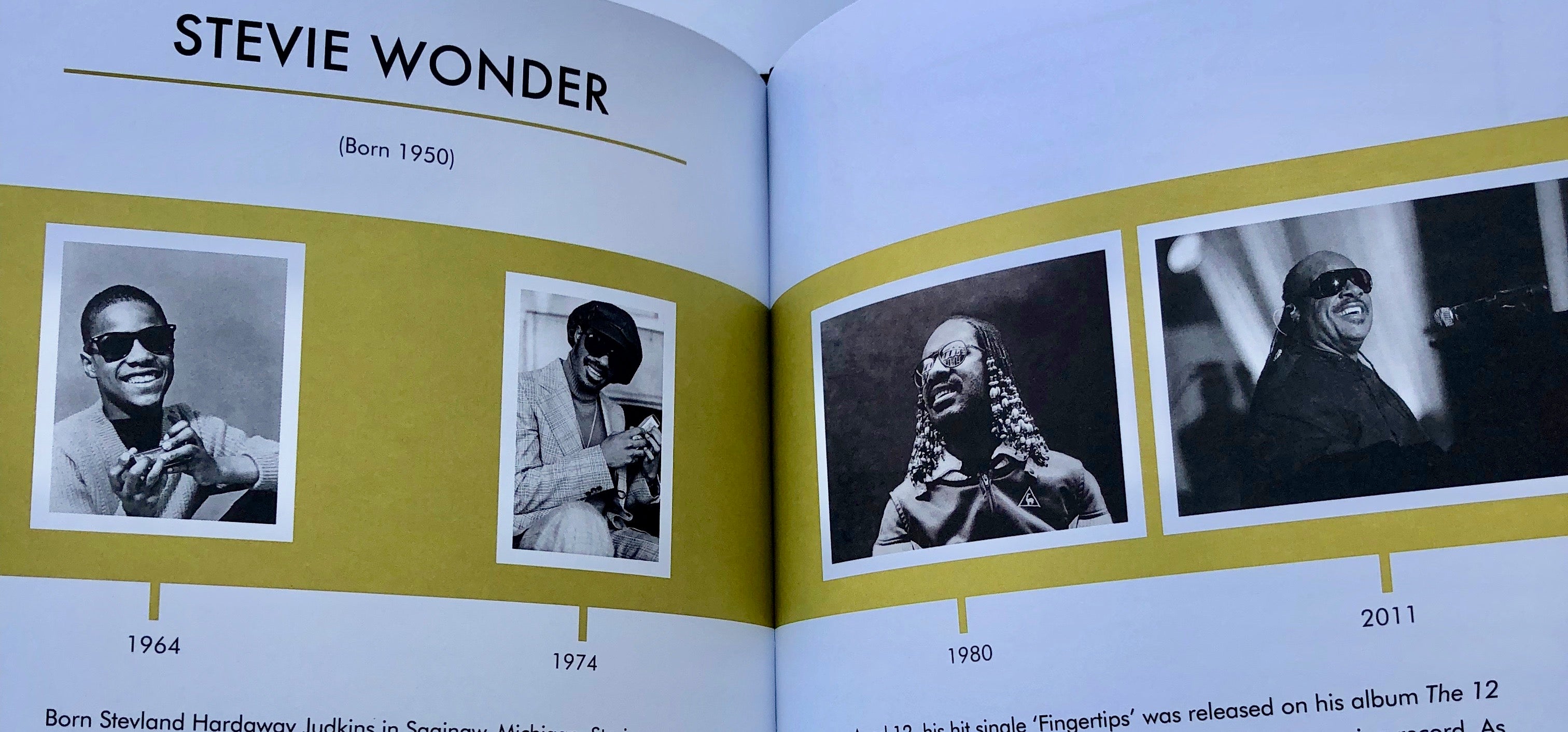 Little People Big Dreams - Stevie Wonder