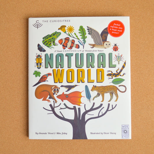 A coffee-table book for the inquisitive