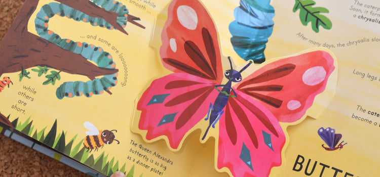 Books › Pop-up and Lift-the-Flap