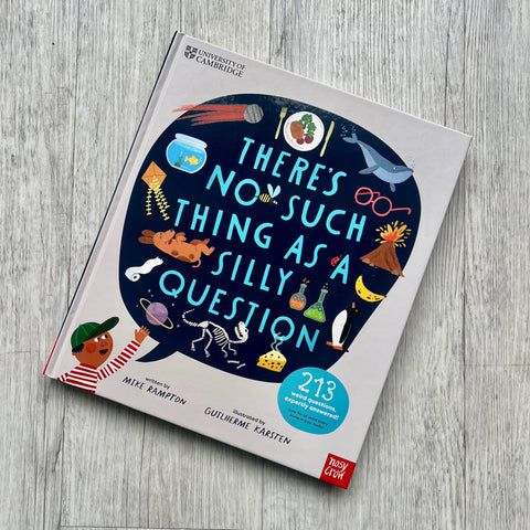 There's No Such Thing As A Silly Question