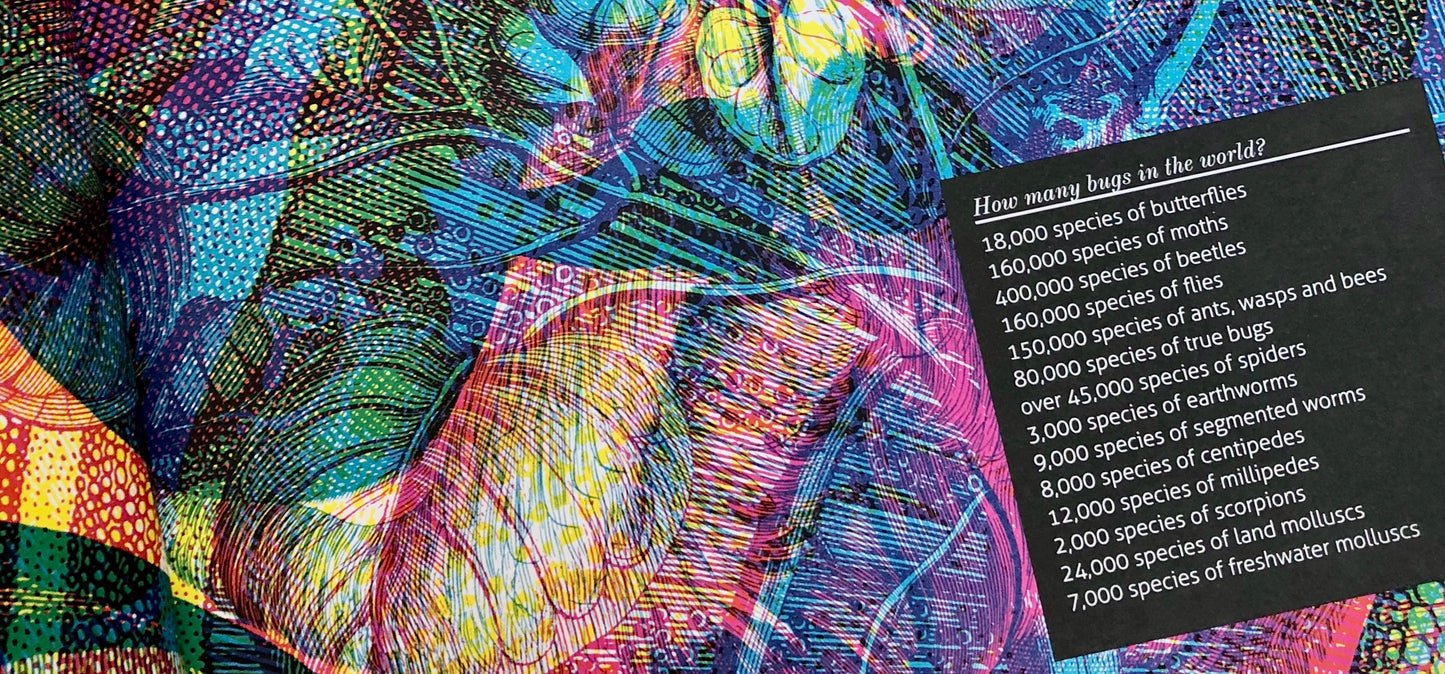 Illumibugs