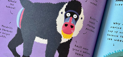 The World's Most Ridiculous Animals: Or Are They?