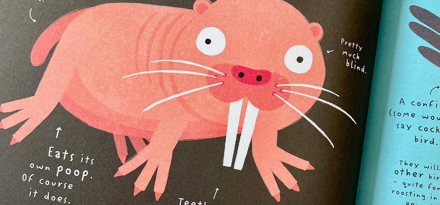 The World's Most Pointless Animals: Or Are They?